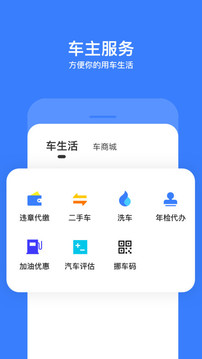 违章查询截图3