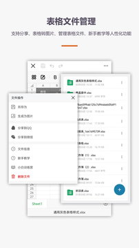 XLSX表格制作截图4