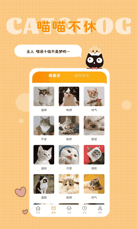 猫语狗语转换器截图1