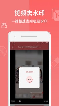 视频去水印大师截图2