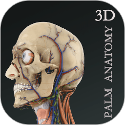 掌上3D解剖