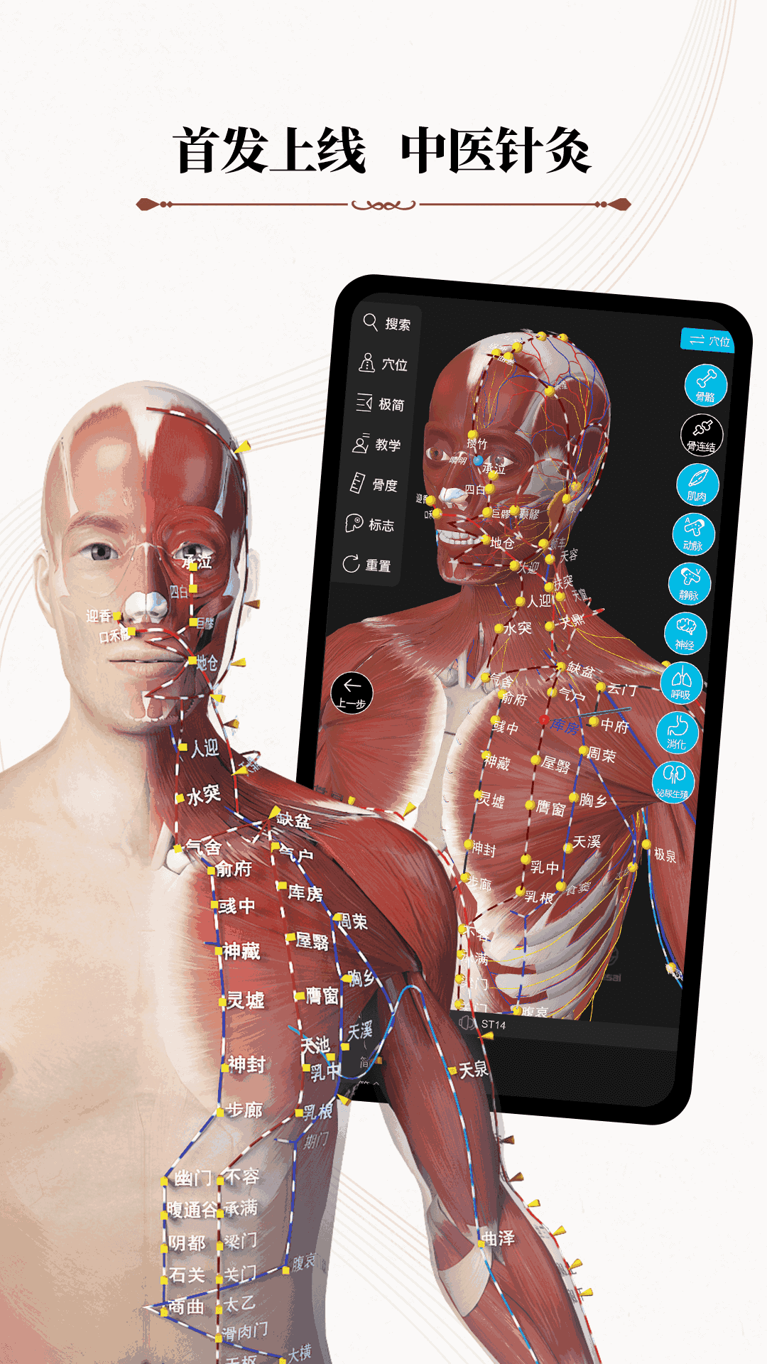 中医经络腧穴截图1