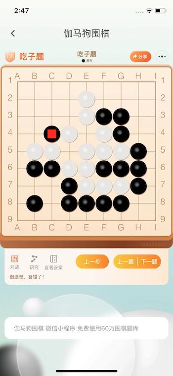 伽马狗围棋截图2