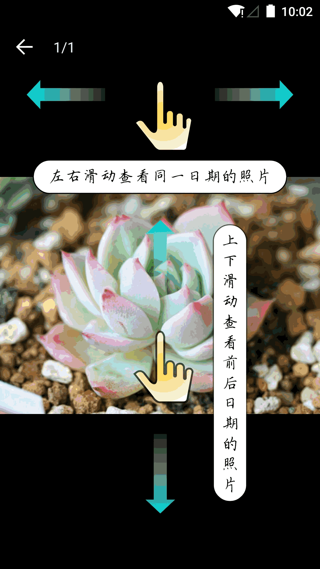 多肉成长记截图4