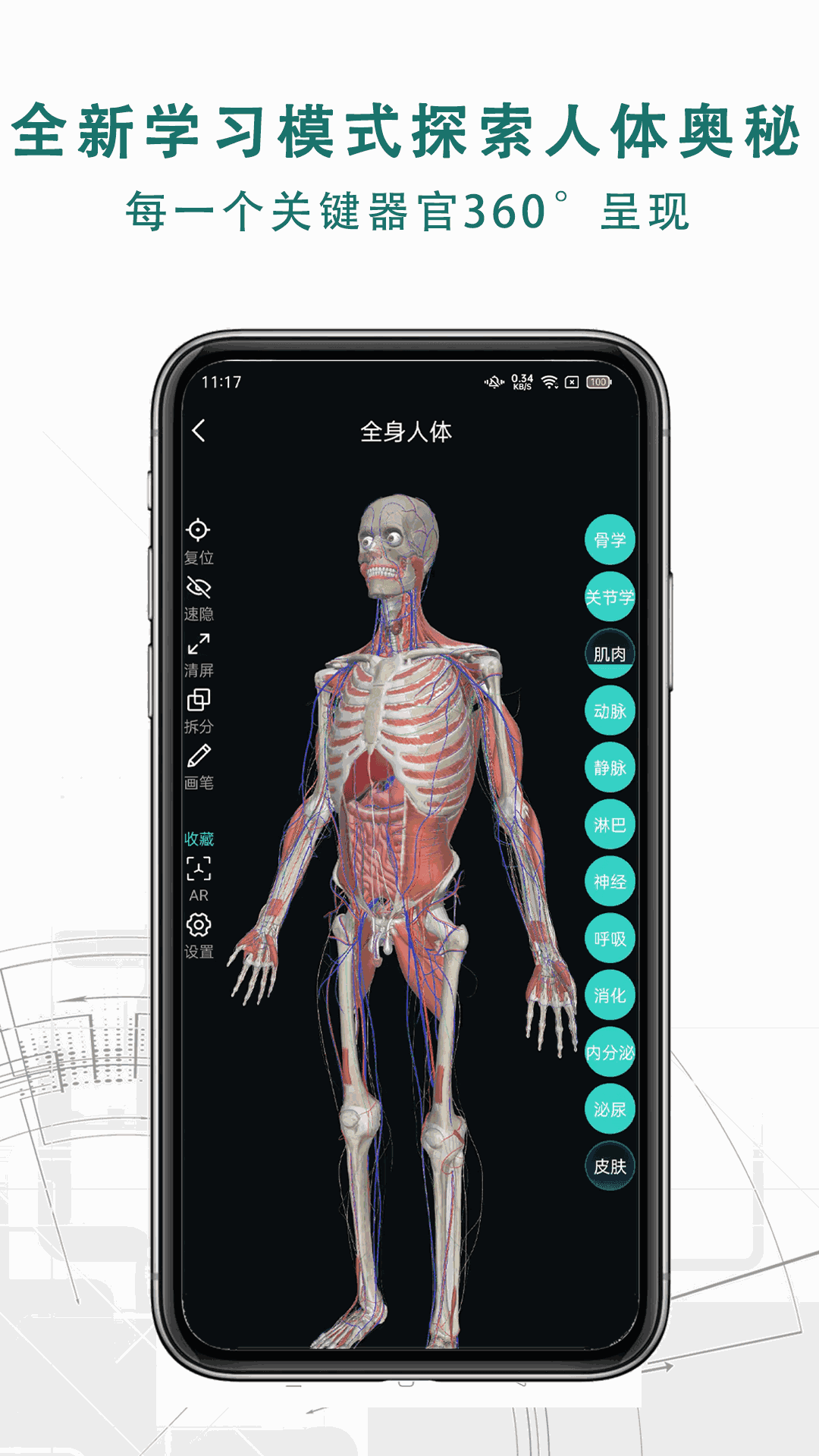 掌上3D解剖截图3